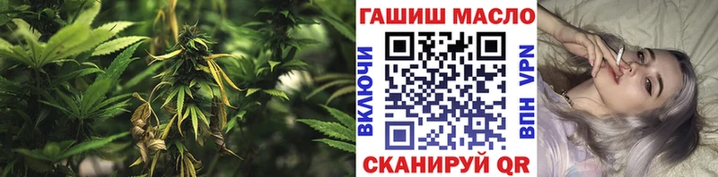 купить закладку  Россошь  ТГК THC oil 