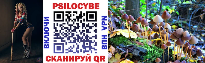 Псилоцибиновые грибы мухоморы где купить наркоту Россошь