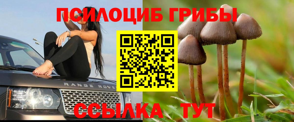 Россошь  Псилоцибиновые грибы прущие грибы  Вход с VPN 