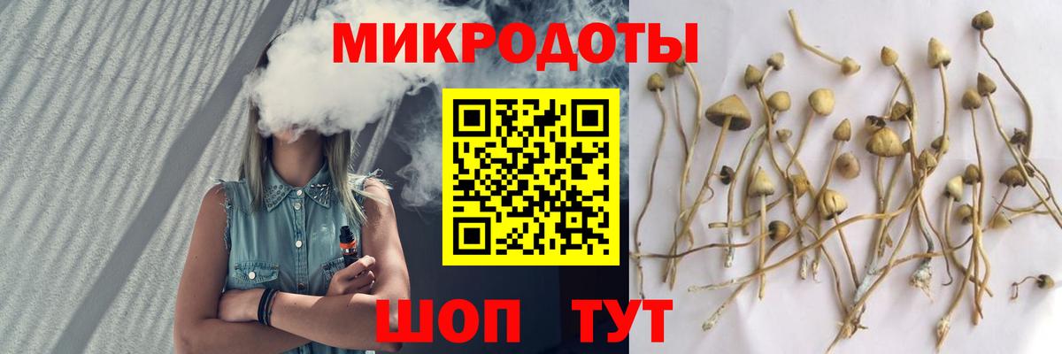 Галлюциногенные грибы Psilocybine cubensis Россошь